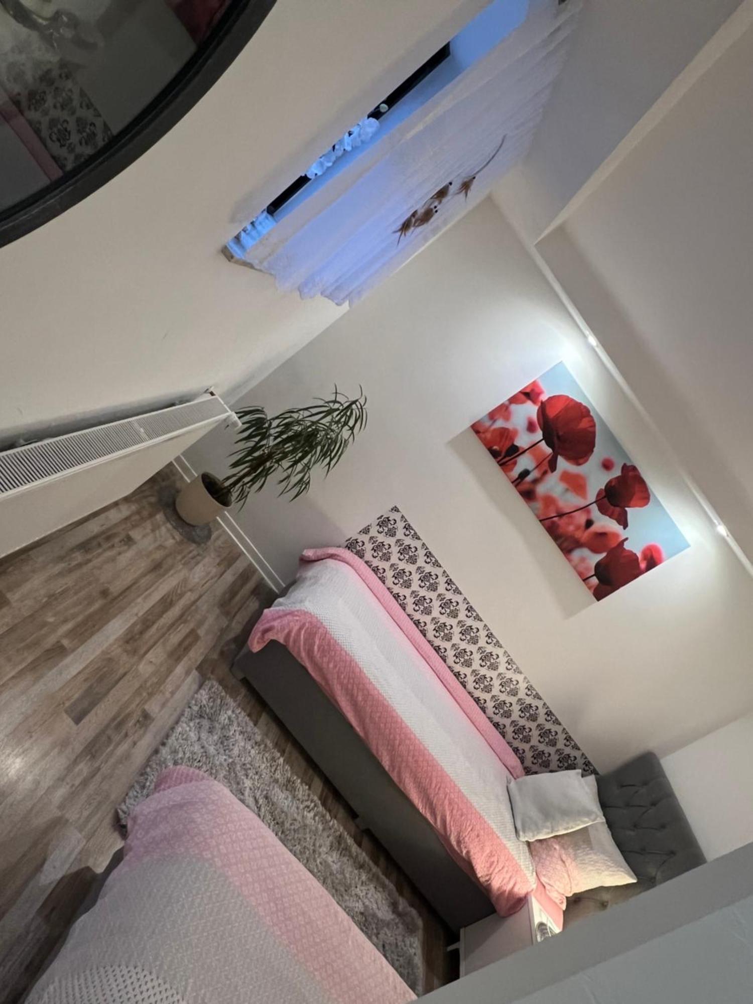 Beti Apartment 2 Nentershausen  Dış mekan fotoğraf